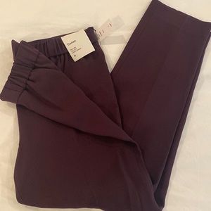 Conan pant from aritzia